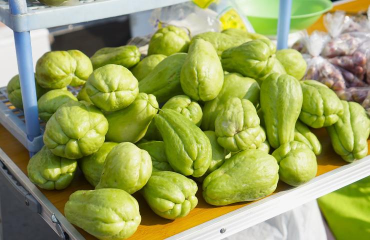 Numerosi chayote su un piano