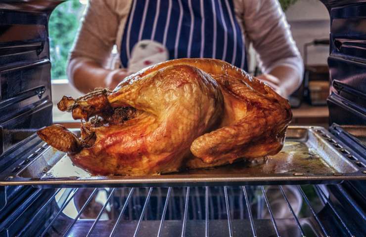 Un tacchino cotto nel forno