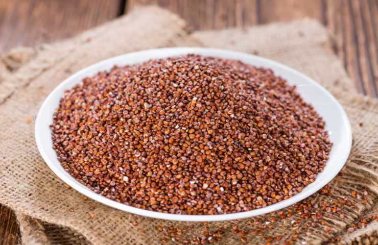 quinoa rossa dentro ad un piatto