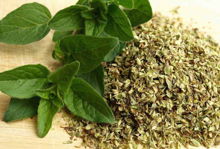 foglie di salvia e origano tritato