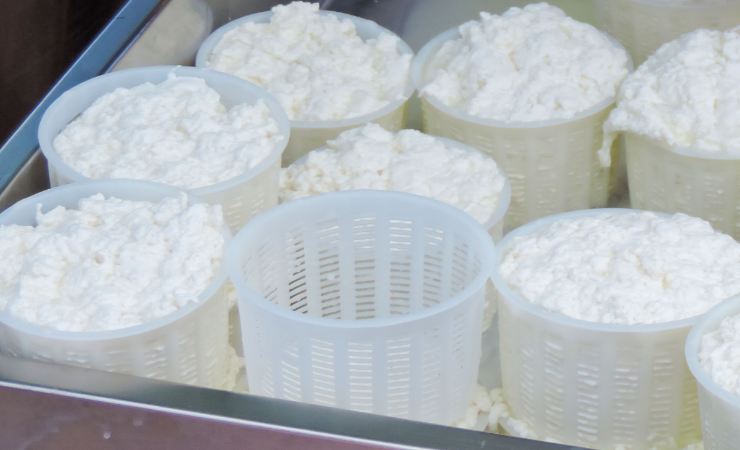 fuscelle di ricotta