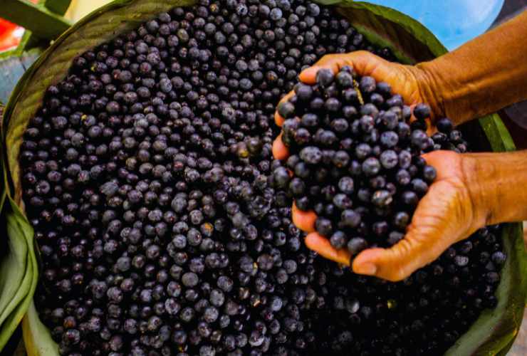 tanti frutti acai