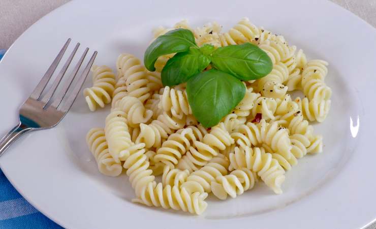 piatto di pasta in bianco con basilico