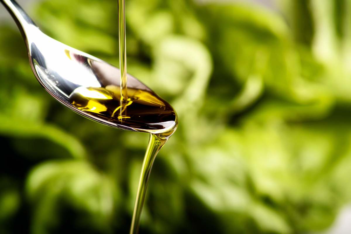 cucchiaio d'olio