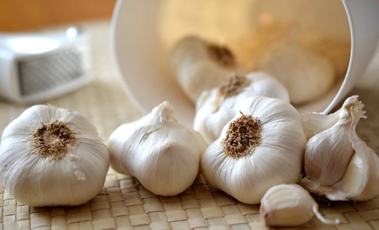 aglio