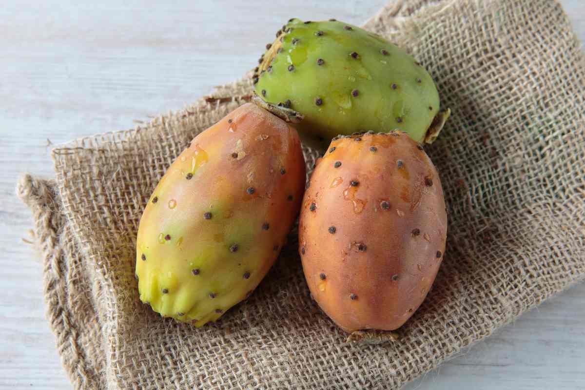 fichi d'India su sacco di iuta