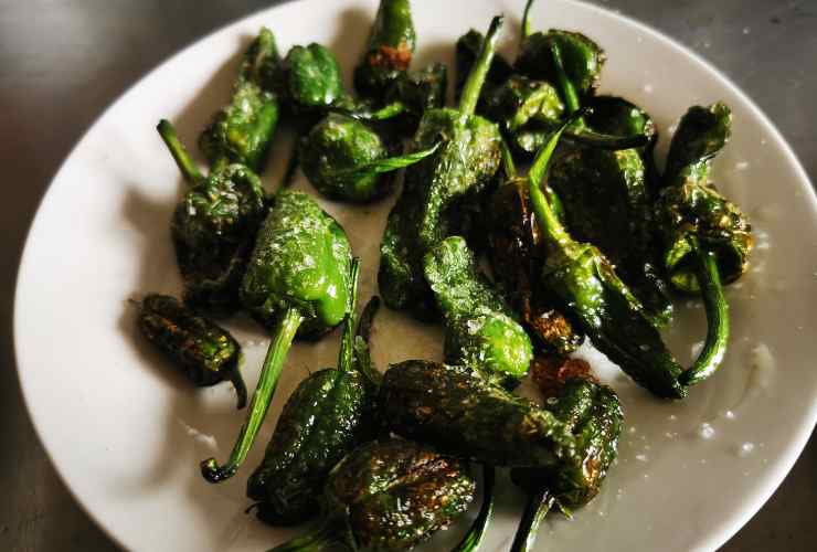 peperoni del padrón nel piatto