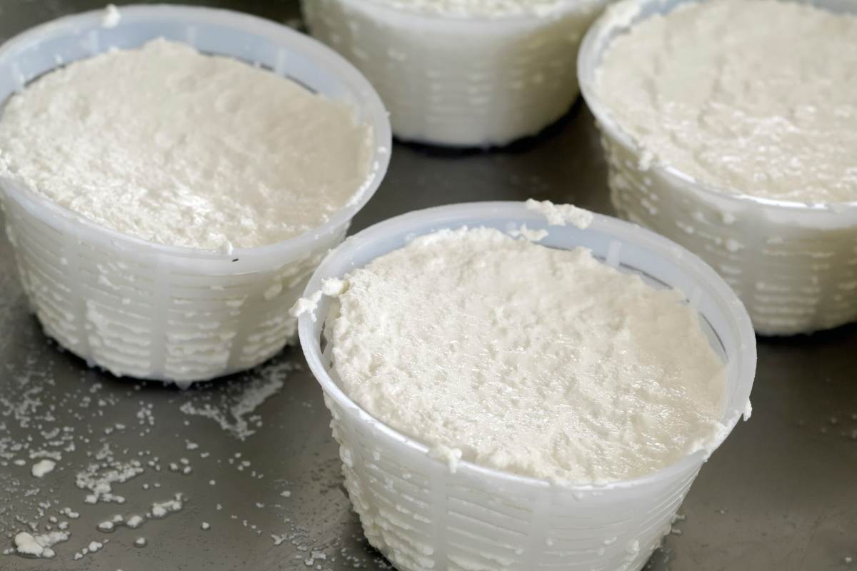 cesti ni di ricotta