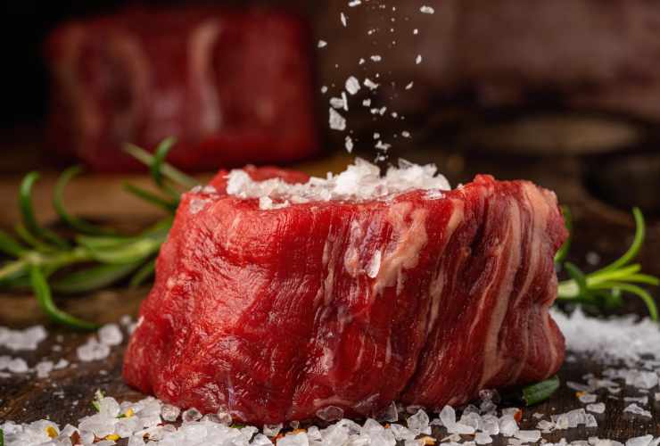 pezzo di carne cruda con il sale