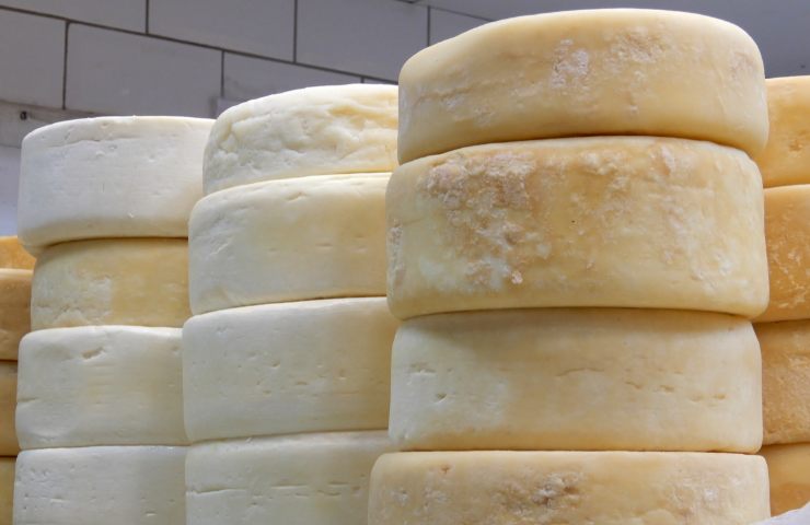 Delle forme di formaggio a latte crudo