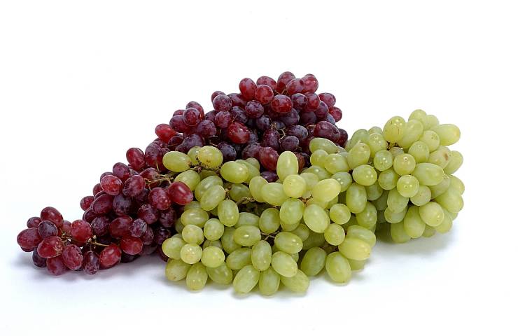 Uva rossa ed uva verde