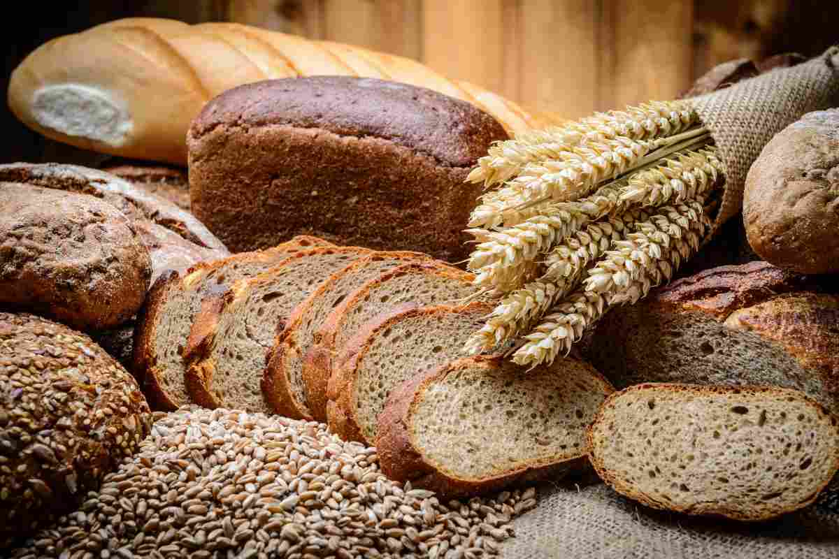 diversi tipi di pane