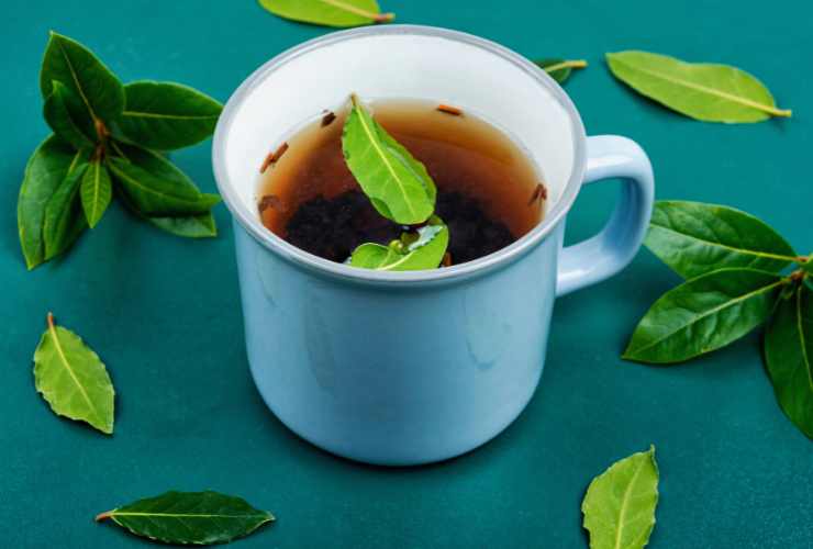 tazza di tisana all'alloro