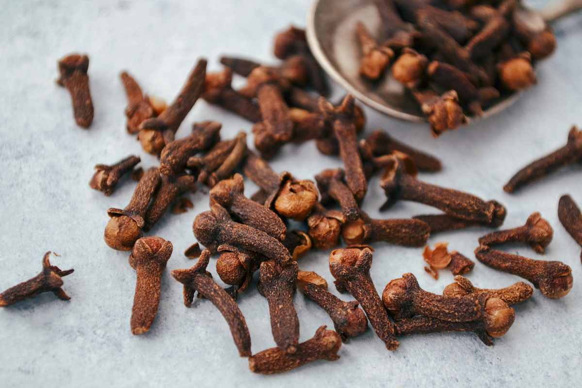 chiodi di garofano e cucchiaio