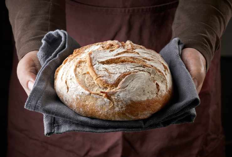 pagnotta di pane