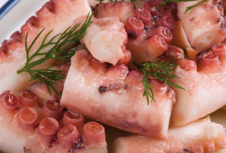 pezzi di polpo a insalata