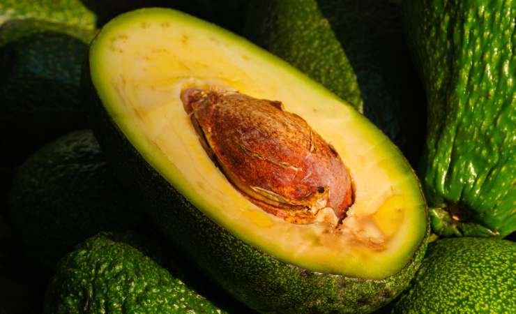 avocado tagliato scuro