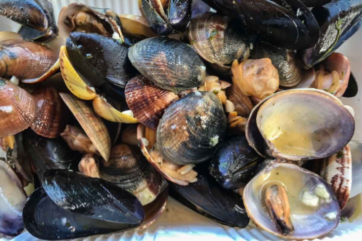 gusci di vongole e cozze mischiati in un piatto