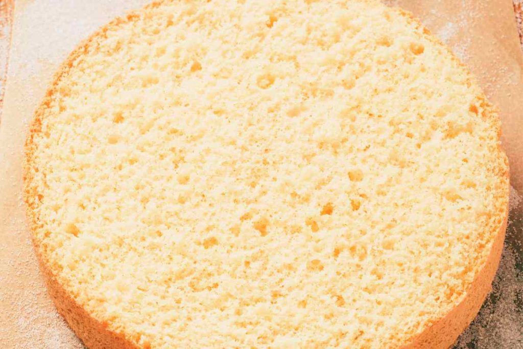 un disco di pan di Spagna visto dall'alto