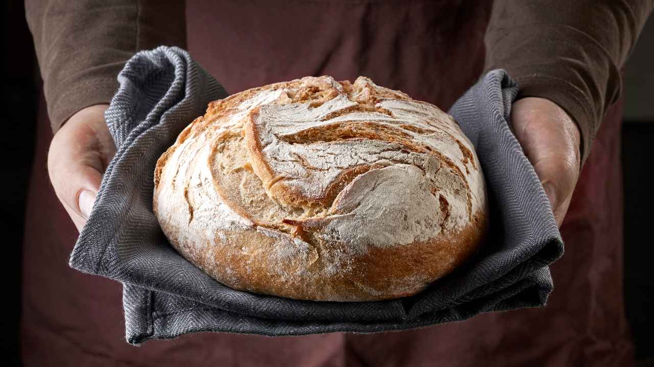 Pane come appena sfornato dopo 3 mesi - ButtalaPasta.it