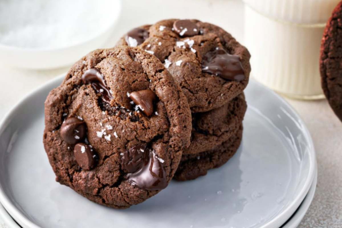 biscotti al cacao con gocce di cioccolato in un piatto