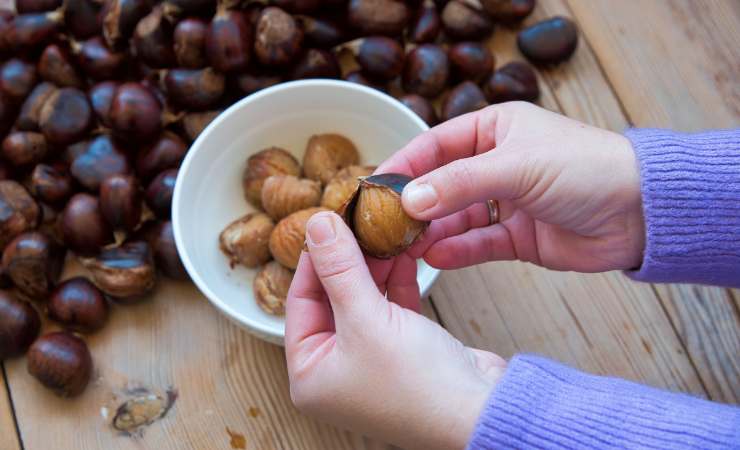 sbucciare castagne bollite
