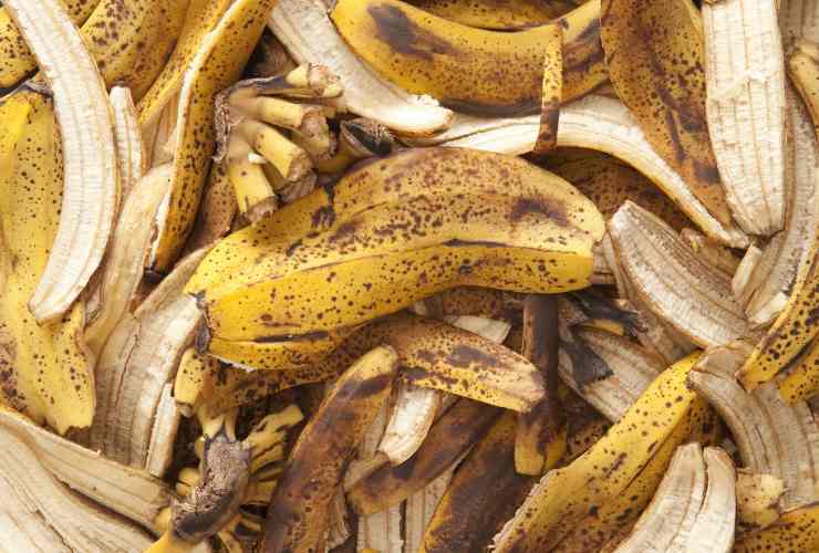 buccia delle banane