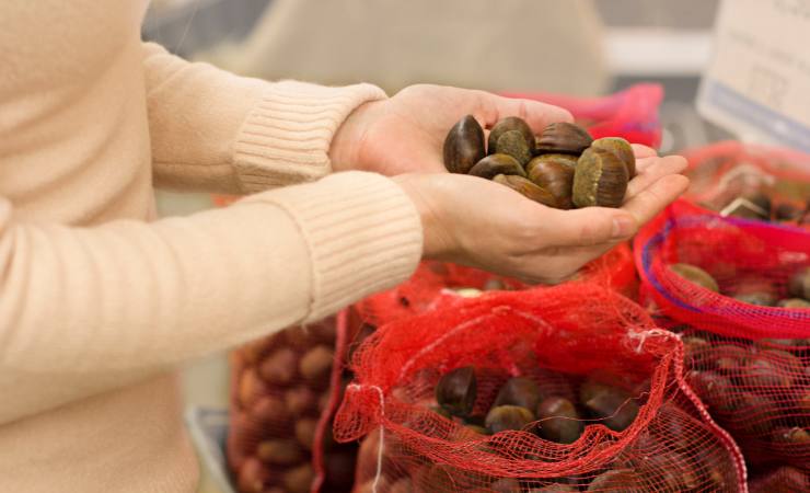 persona con sacchi di castagne