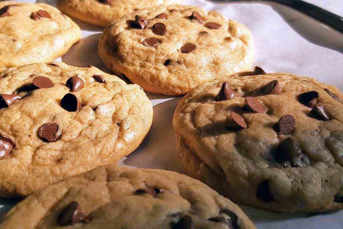 biscotti
