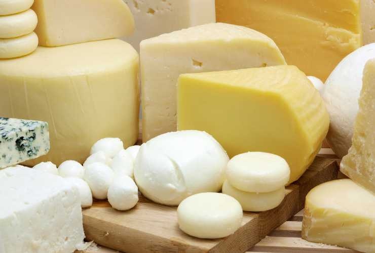formaggi di vario tipo