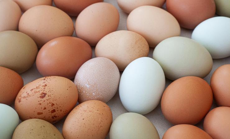 uova bianche marroni o beige