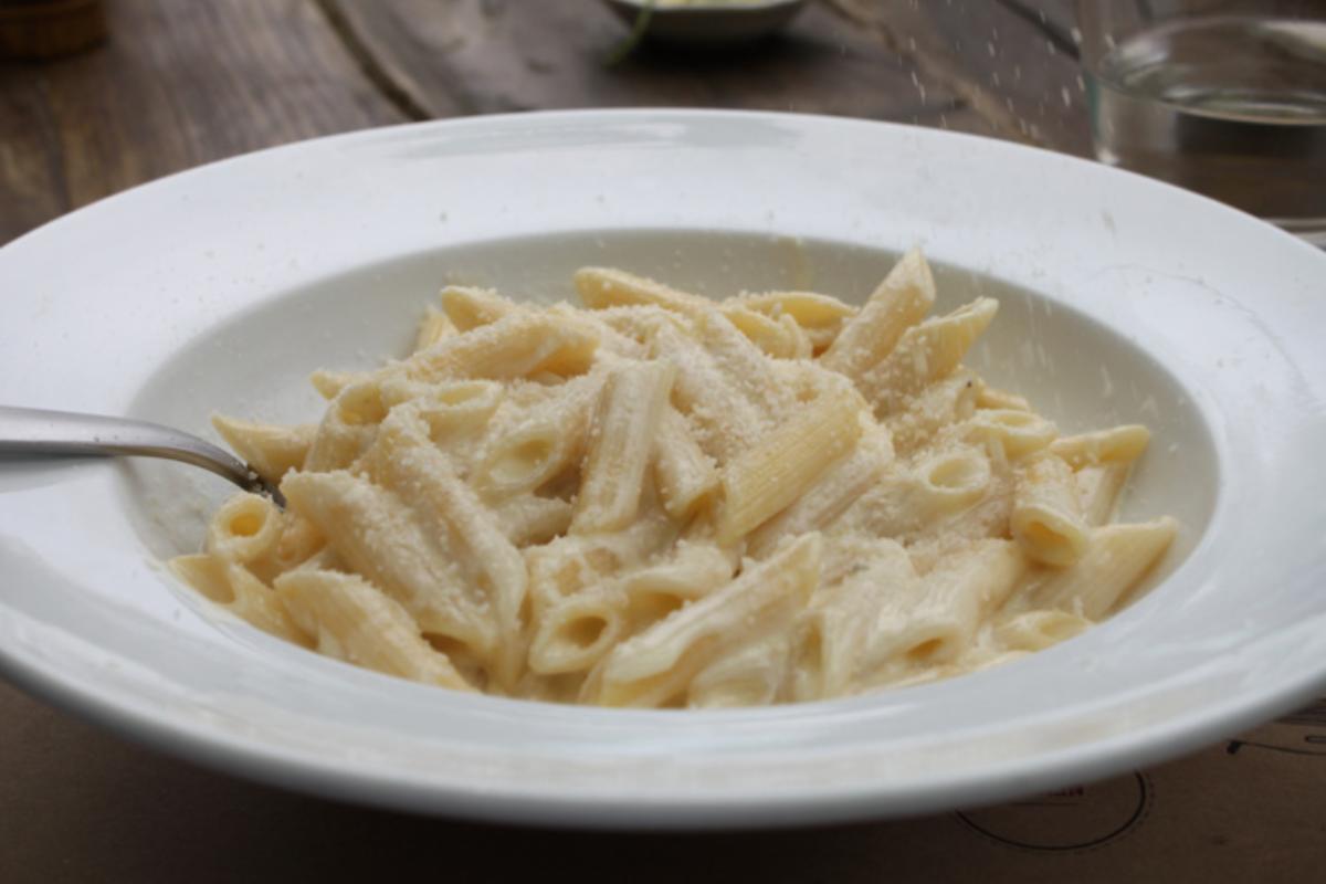 penne cremose in piatto bianco