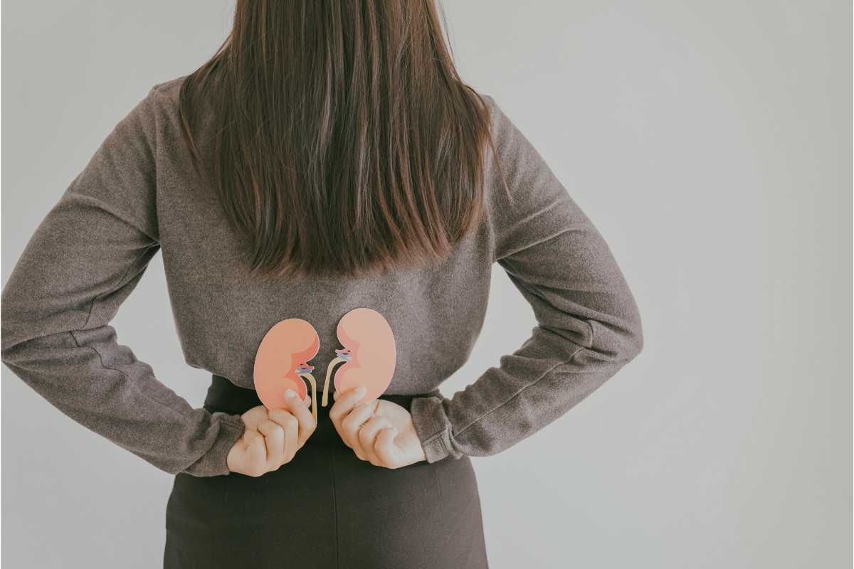 Una donna che mostra due modelli di reni