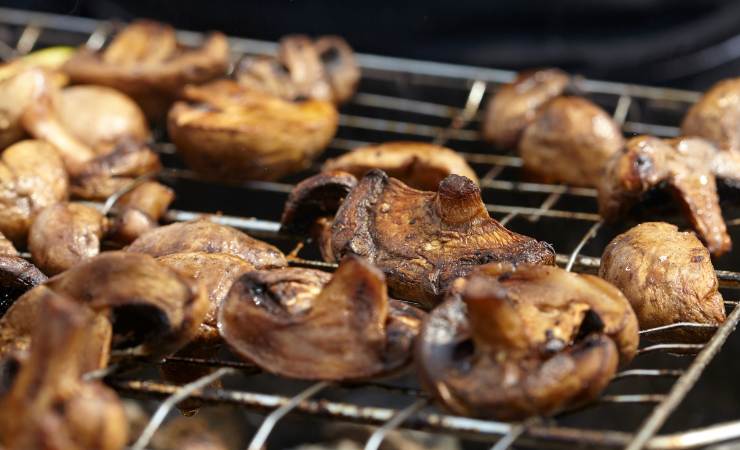 funghi sulla griglia