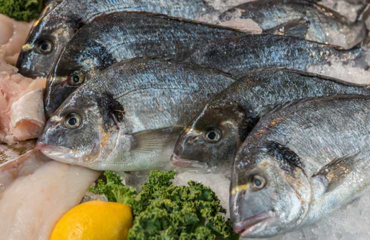 Delle orate fresche in pescheria