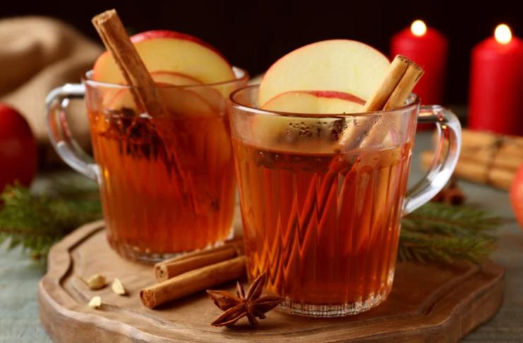 sidro di mele in bicchieri con stecche di cannella