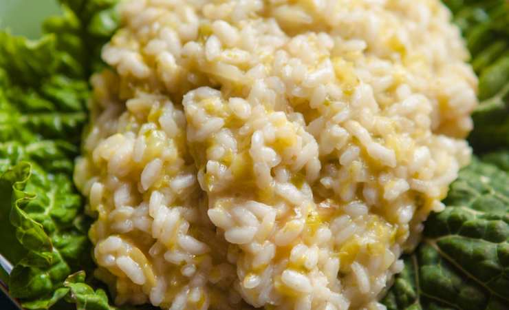 risotto con le verze su foglie di verza