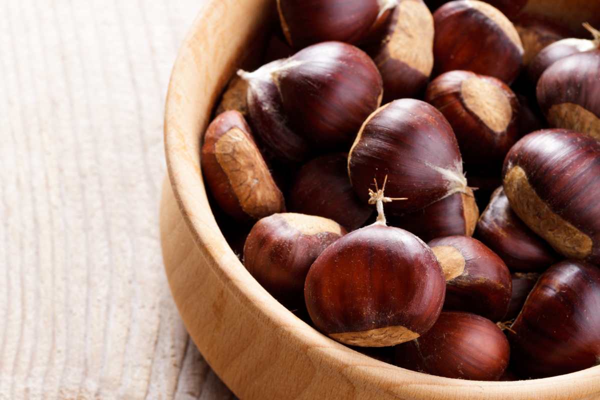 scodella di castagne