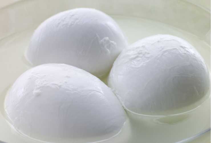 Acqua delle mozzarelle salva natale - ButtalaPasta.it