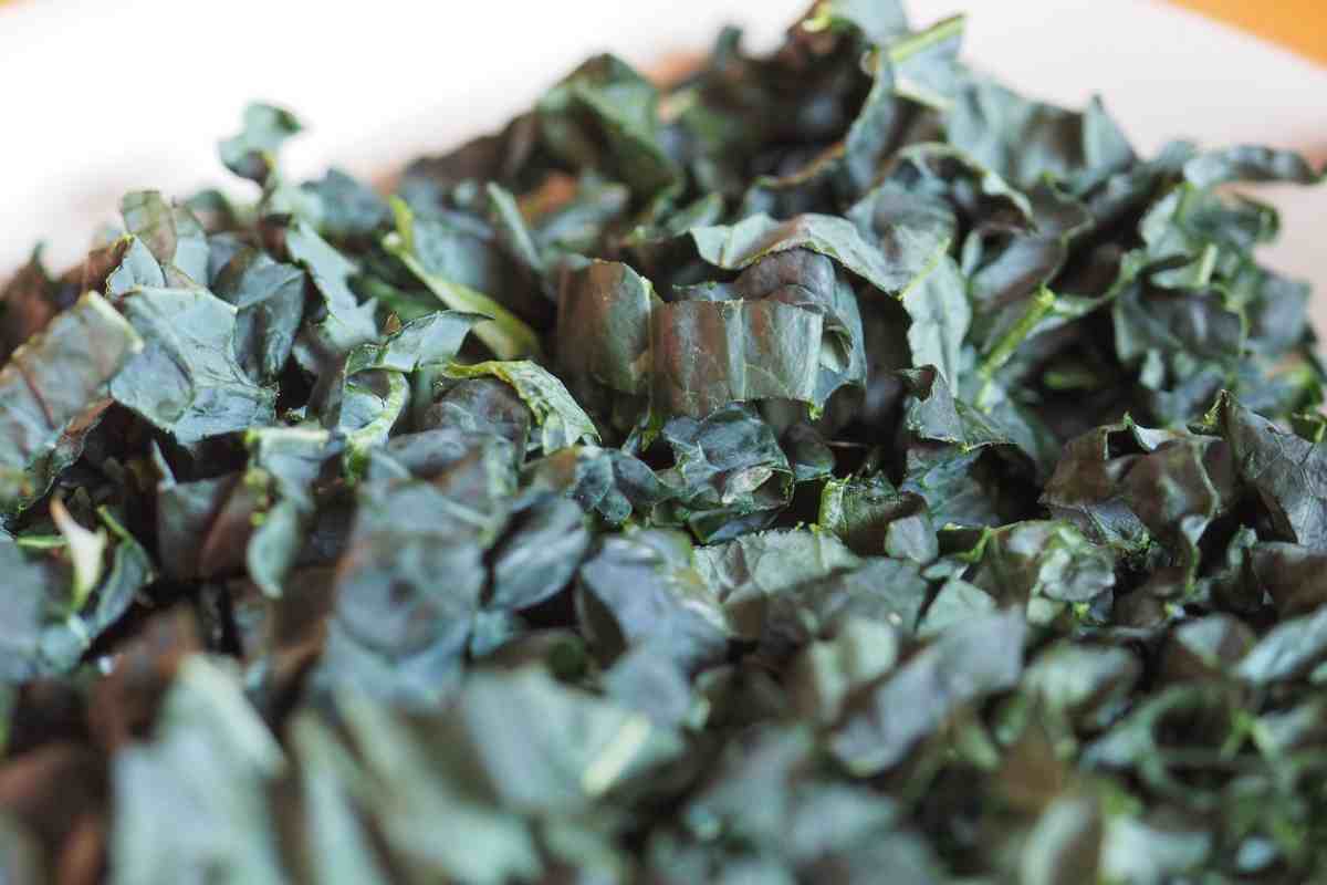 cavolo nero tagliato a listarelle visto da vicino