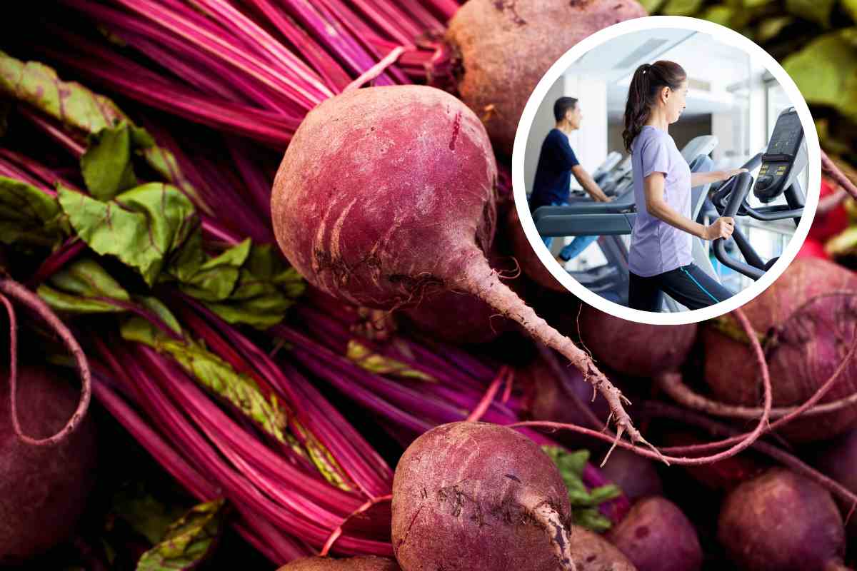 barbabietola persone in palestra