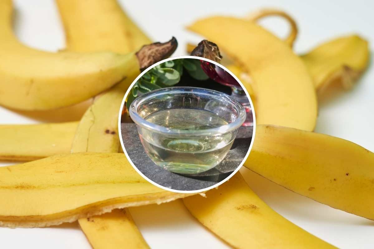 bucce di banana e ciotola con aceto in cornice