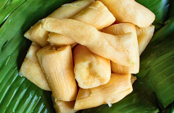 Polpa di manioca su vassoio di foglie