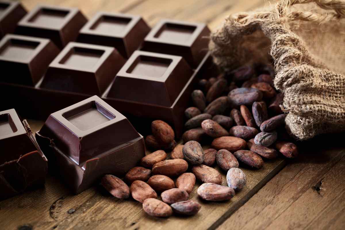 tavoletta di cioccolato fondente e chicchi di cacao