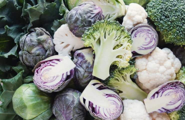 broccoli cavoli e cavolfiori