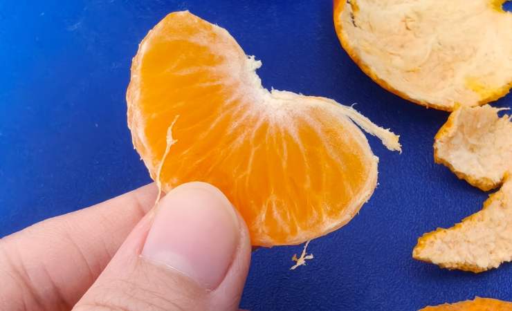 spicchio di mandarino