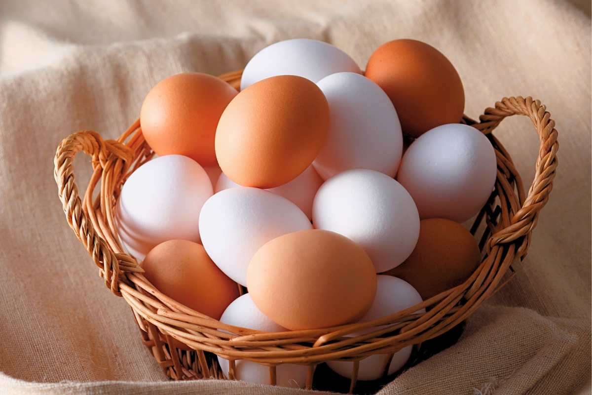 cestino con uova bianche e marroni
