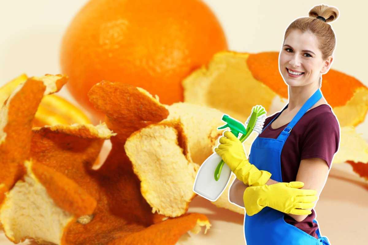bucce d'arancia e donna con guanti e spruzzatore in mano