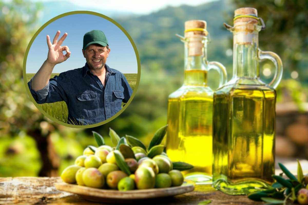 bottiglie di olio, con olive sul tavolo e uomo in cornice