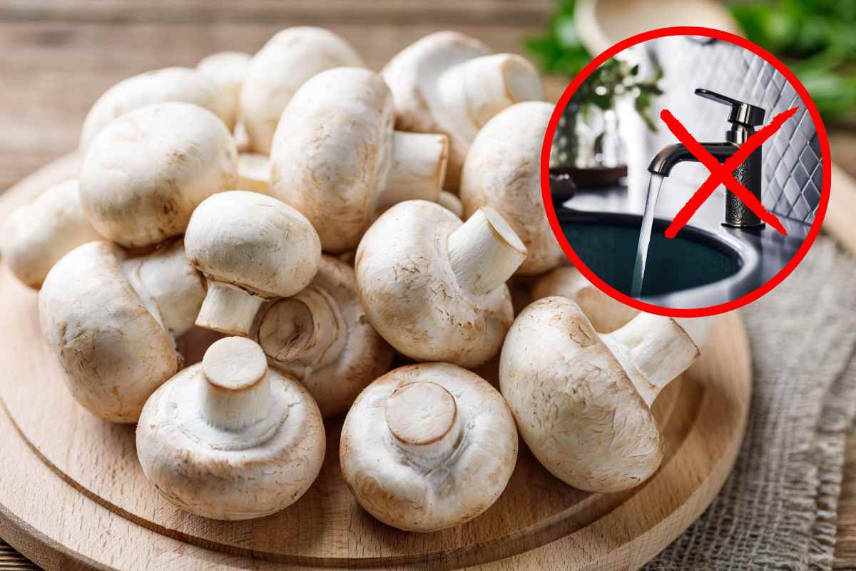 funghi e rubinetto